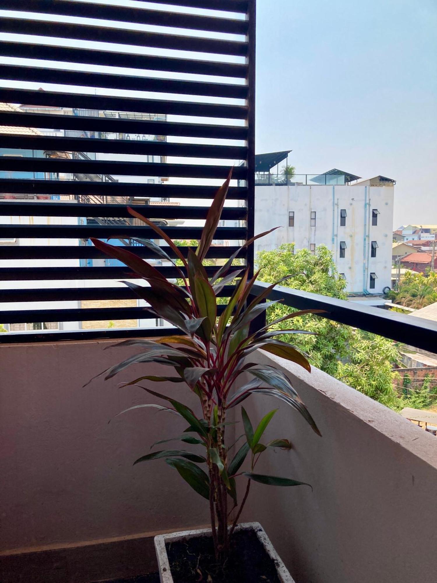 Lotus Haven Villa Siem Reap Exterior photo
